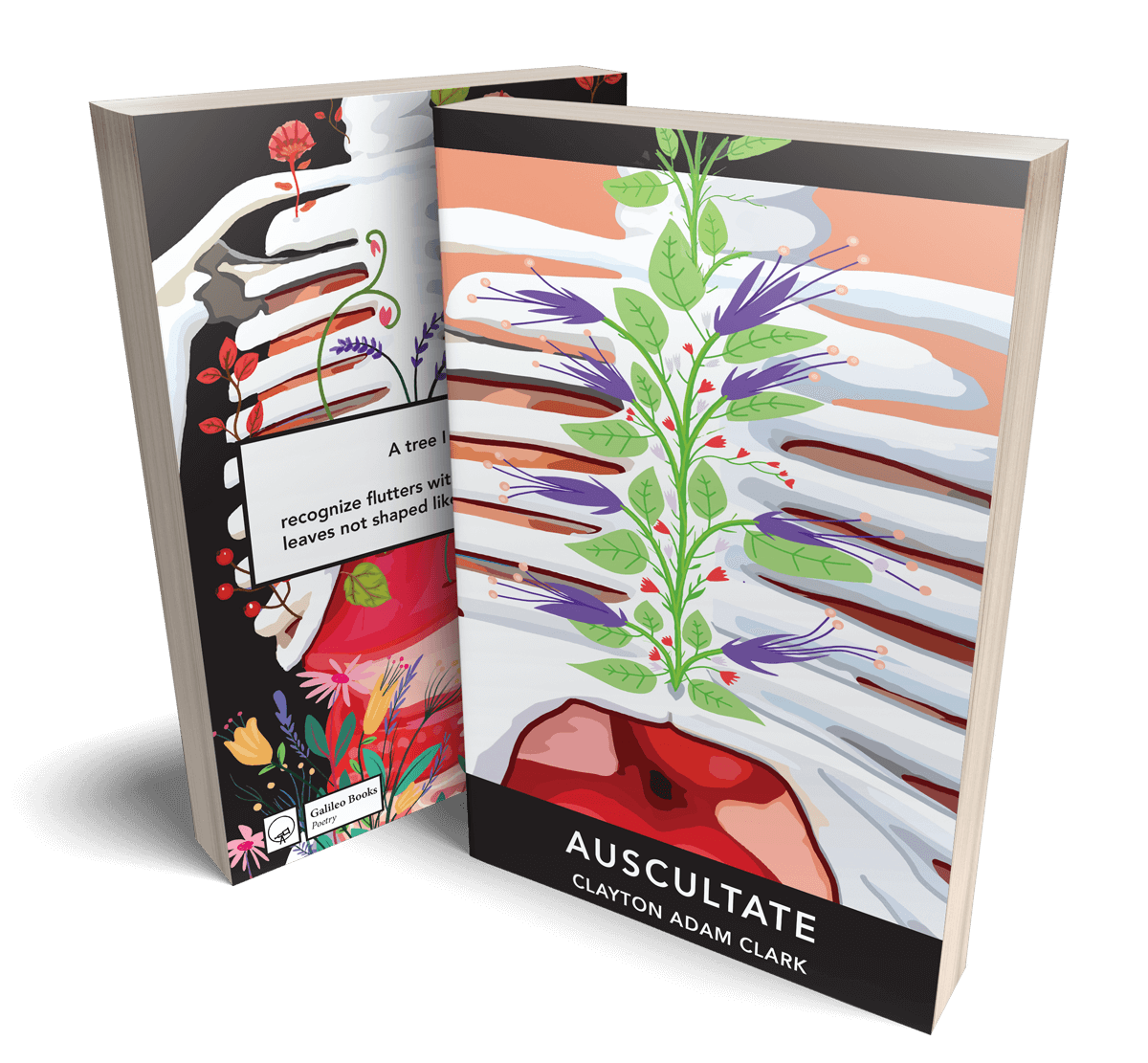 Photo of Auscultate book in 3D, including front and back covers. Front cover shown in full, including ribcage with plants growing on it. 
